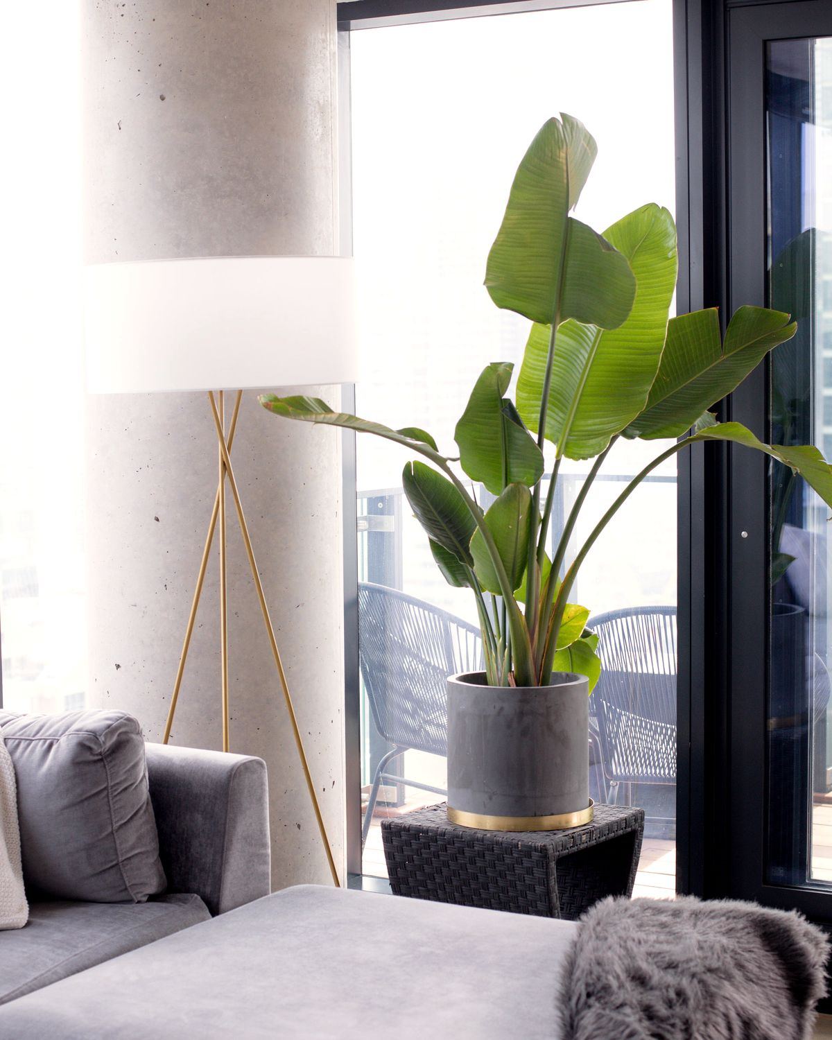 A warmly lit Canadian home interior