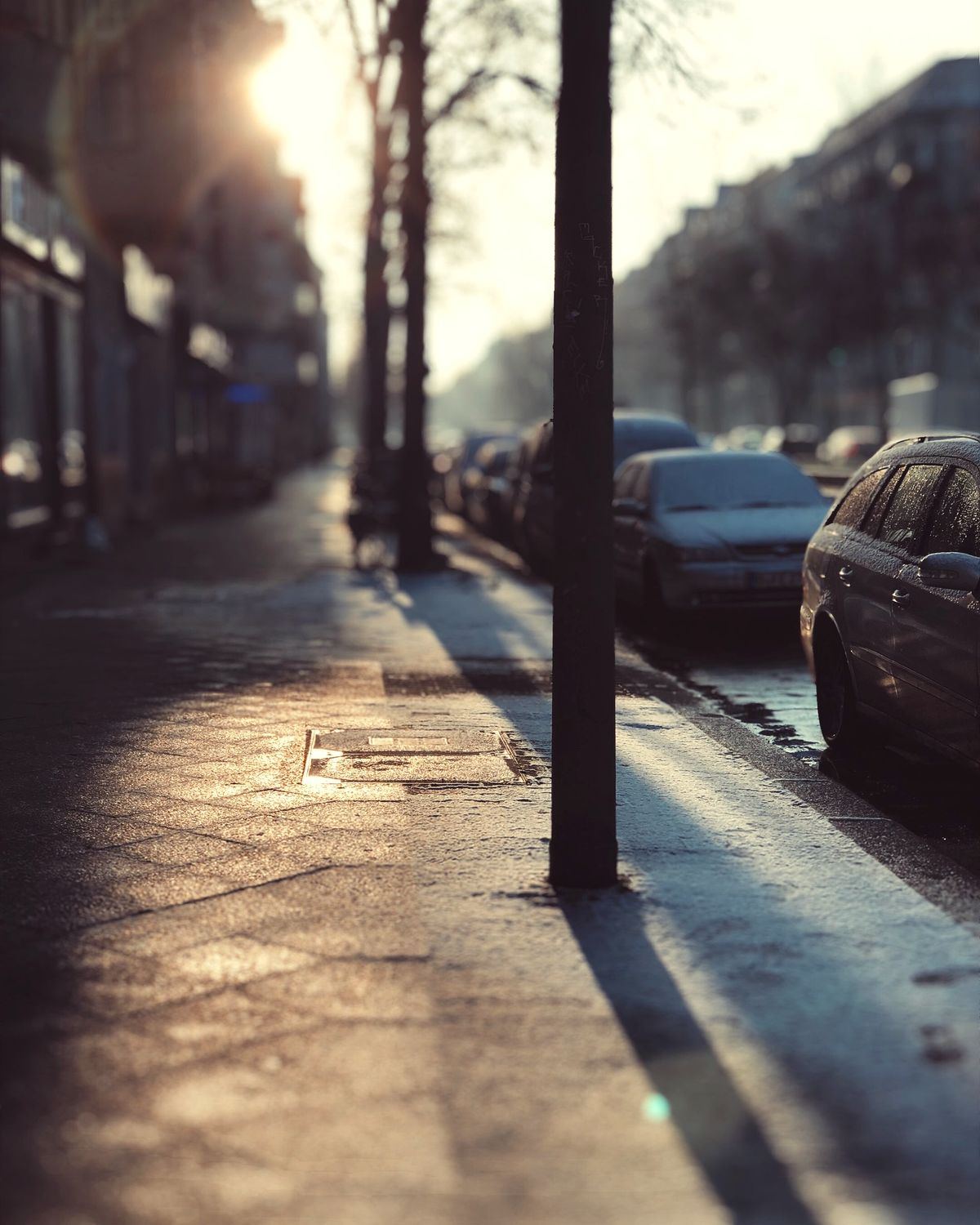 A quiet residential street in a Canadian city